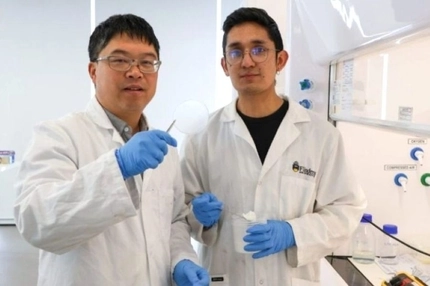 Milk-based biodegradables can replace plastic in food packs, find scientists