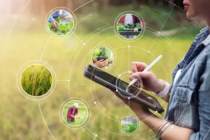 IFT’s traceability tool overcomes F&B digital divide with “practical and accessible” data sharing