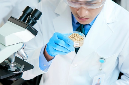 Image Debunking the “soy boy”: What the science says about plant proteins