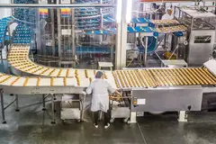 Hovis expands IntelliAM AI partnership to advance bakery productivity