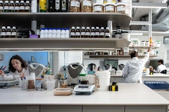 article image article image