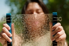 Fish-scale waste can be transformed into biodegradable plastic alternative, study finds