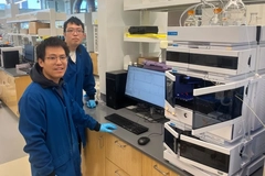 Scientists tune plastic degradation rate for packaging applications Scientists tune plastic degradation rate for packaging applications