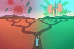 Image Methionine supplementation may boost immunity by reducing inflammation